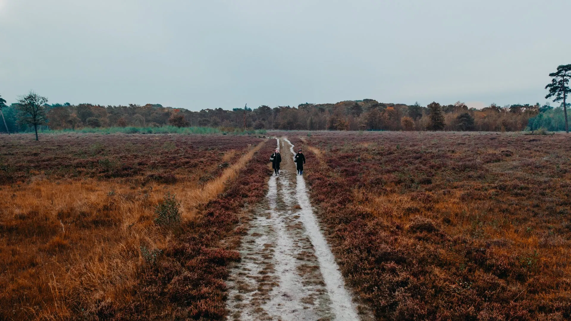 Brabantse Natuurpoorten En Baroniepoorten